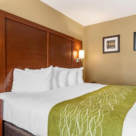 Comfort Inn Msp Airport - Mall Of America Μπλούμινγκτον Εξωτερικό φωτογραφία