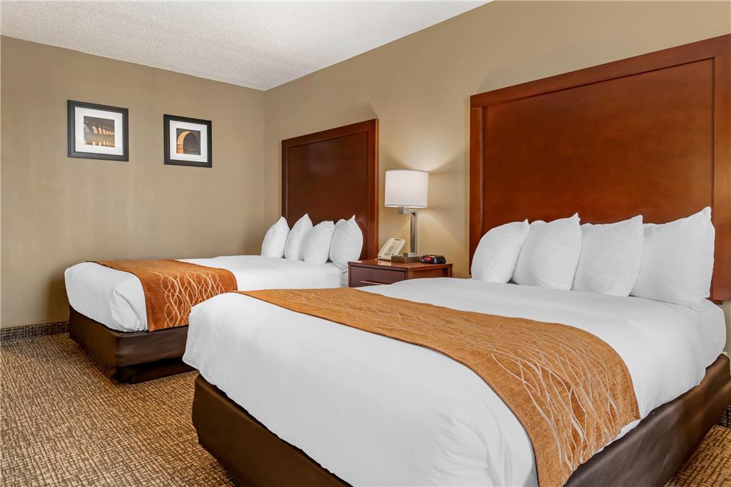 Comfort Inn Msp Airport - Mall Of America Μπλούμινγκτον Δωμάτιο φωτογραφία
