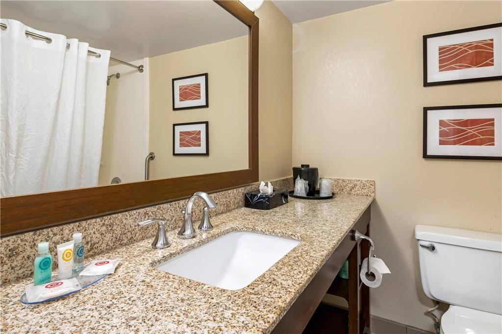 Comfort Inn Msp Airport - Mall Of America Μπλούμινγκτον Δωμάτιο φωτογραφία